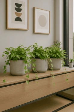 Efeu Pittsburgh 3er Set