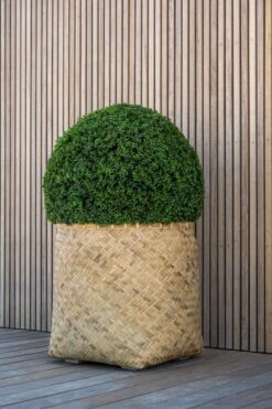 Buchsbaum Künstlich -Pflanzen Blumentopf Geschäft F1003 90 91 1