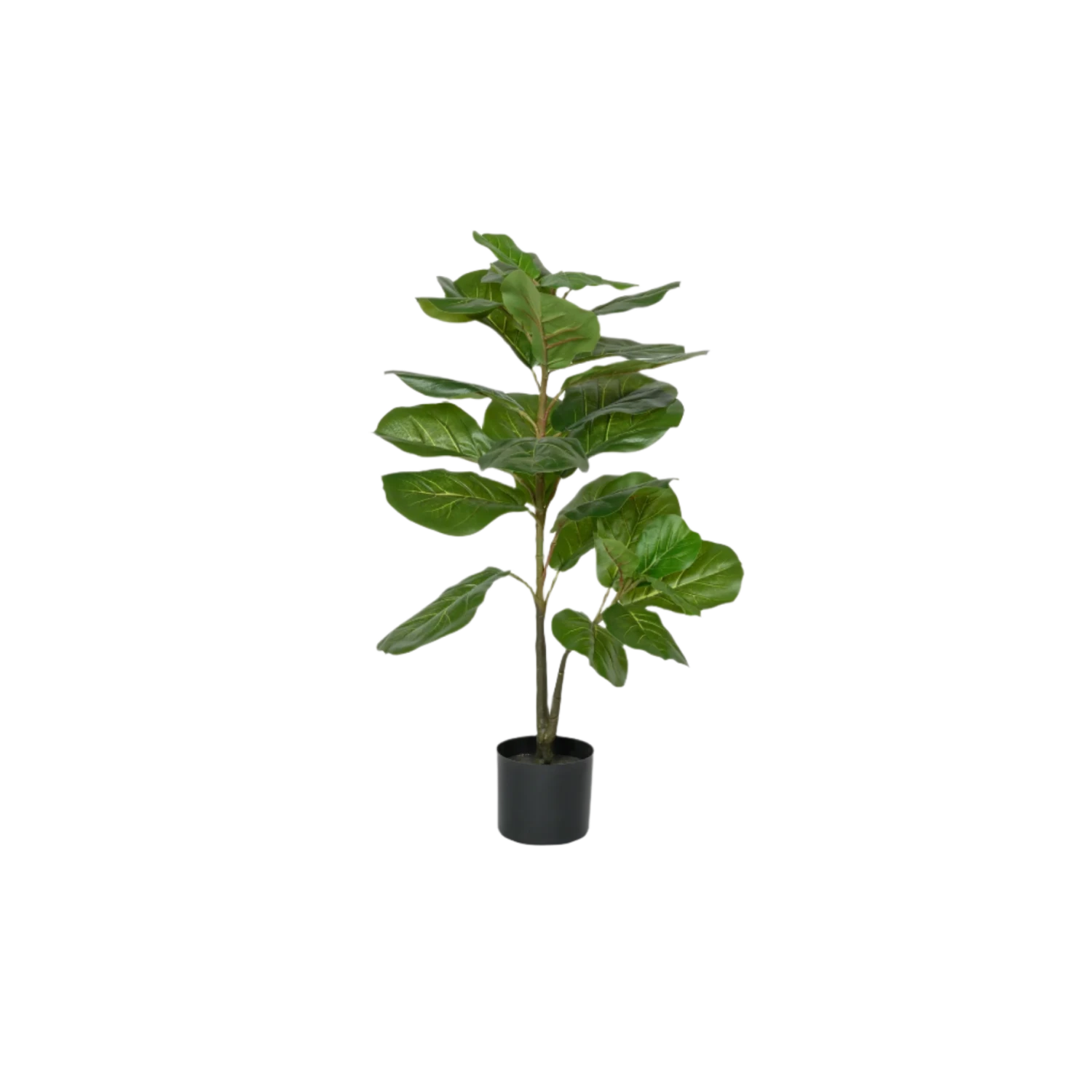 Ficus Lyrata Geigenfeige Künstlich H: 100cm 3 Ficus Lyrata Geigenfeige Künstlich H: 100cm