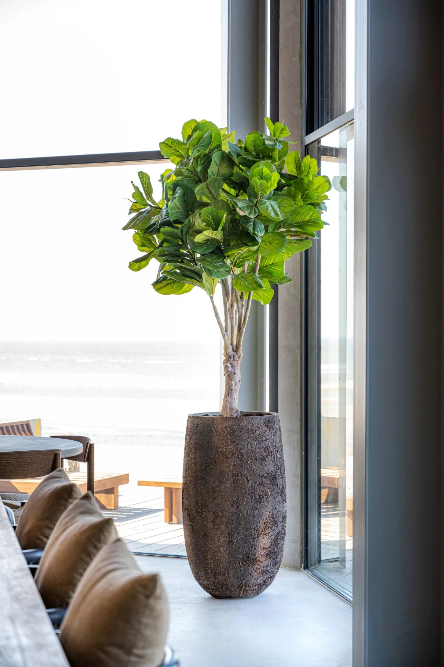 Ficus Lyrata Geigenfeige Künstlich H: 180cm 3 Ficus Lyrata Geigenfeige Künstlich H: 180cm