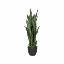 Sansevieria Künstlich H: 85cm