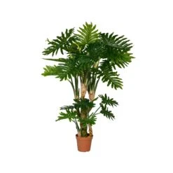 Philodendron Künstlich H: 160cm 7 Philodendron Künstlich H: 160cm -Pflanzen Blumentopf Geschäft F1008 160 91 min