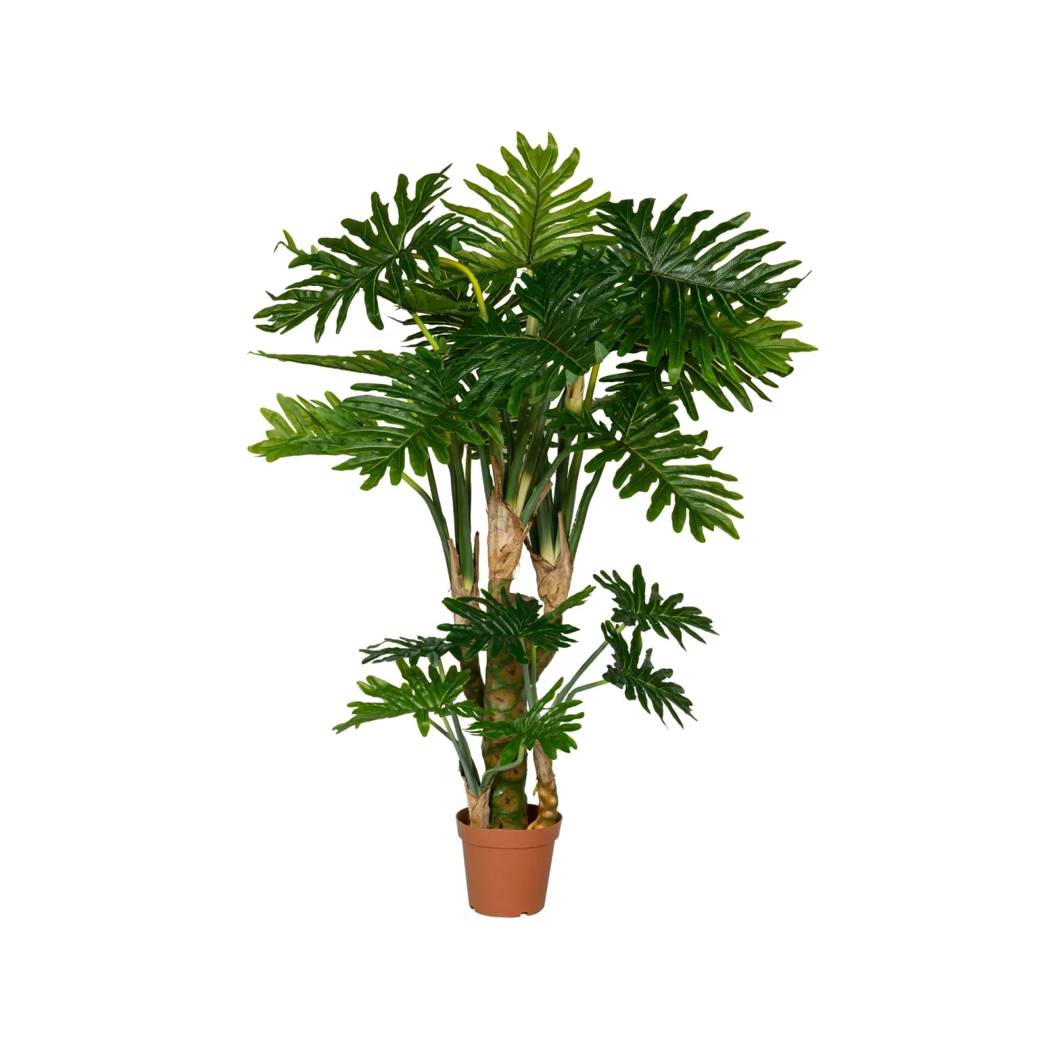 Philodendron Künstlich H: 160cm 5 Philodendron Künstlich H: 160cm – Bild 3