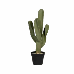 Kaktus Cereus Künstlich H: 72cm 8 Kaktus Cereus Künstlich H: 72cm -Pflanzen Blumentopf Geschäft F1013 72 91