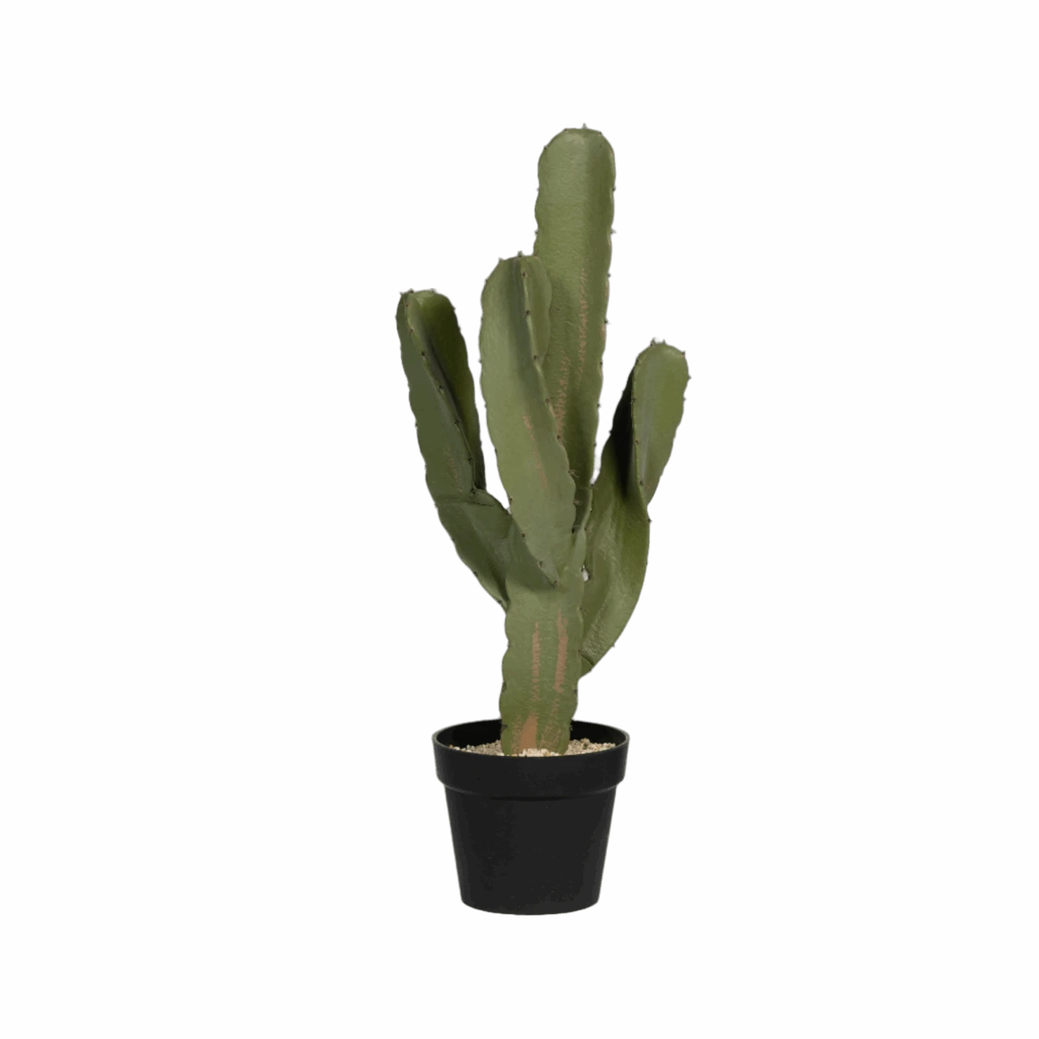 Kaktus Cereus Künstlich H: 72cm 5 Kaktus Cereus Künstlich H: 72cm – Bild 3