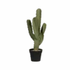 Kaktus Cereus Künstlich H: 55cm 1 Kaktus Cereus Künstlich H: 55cm -Pflanzen Blumentopf Geschäft F1013 72 91 6dd0a8e9 841b 40e9 ba9f f4ffc44c60d8