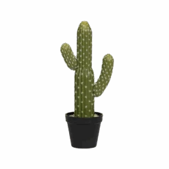 Kaktus Saguaro Künstlich H: 41 Cm 11 Kaktus Saguaro Künstlich H: 41 Cm -Pflanzen Blumentopf Geschäft F1014 41 91