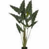 Alocasia Taro Künstlich H: 120cm -Pflanzen Blumentopf Geschäft F1020 120 91