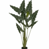 Alocasia Taro Künstlich H: 160cm 2 Alocasia Taro Künstlich H: 160cm -Pflanzen Blumentopf Geschäft F1020 120 91 20e24fa8 5185 4d86 beb1 46b3ba7993d9