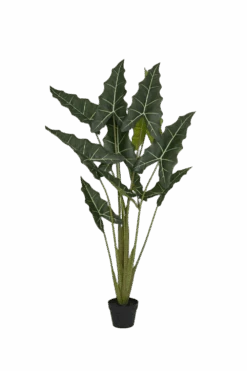 Alocasia Taro Künstlich H: 140cm