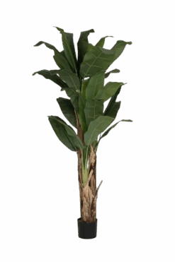 Bananenbaum Künstlich H: 220cm