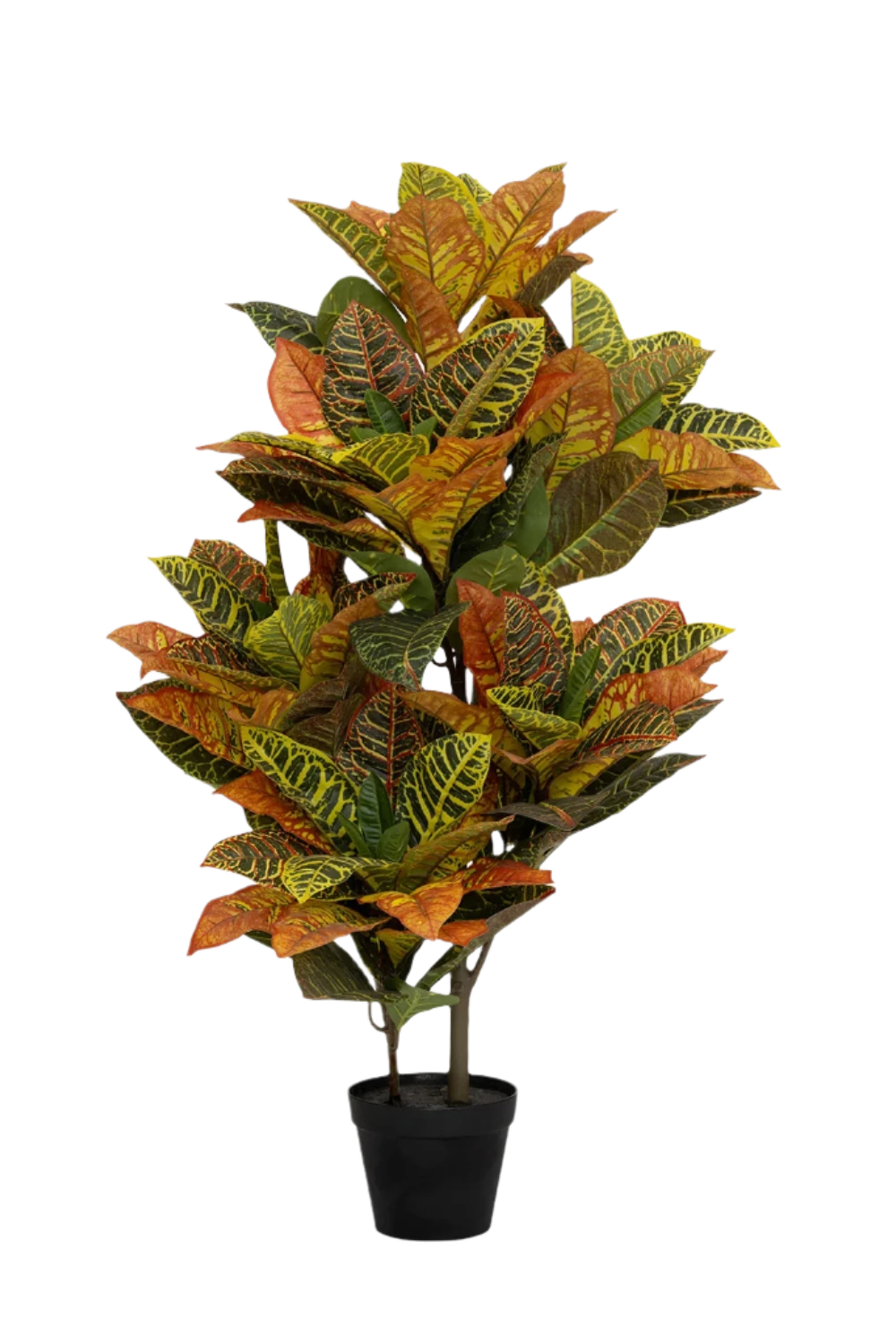 Codiaeum Wunderstrauch Künstlich H: 80cm 3 Codiaeum Wunderstrauch Künstlich H: 80cm