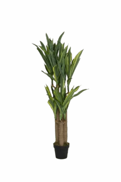 Dracaena Drachenbaum Künstlich H: 145cm