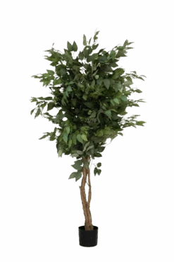 Ficus Baum Künstlich H: 180cm