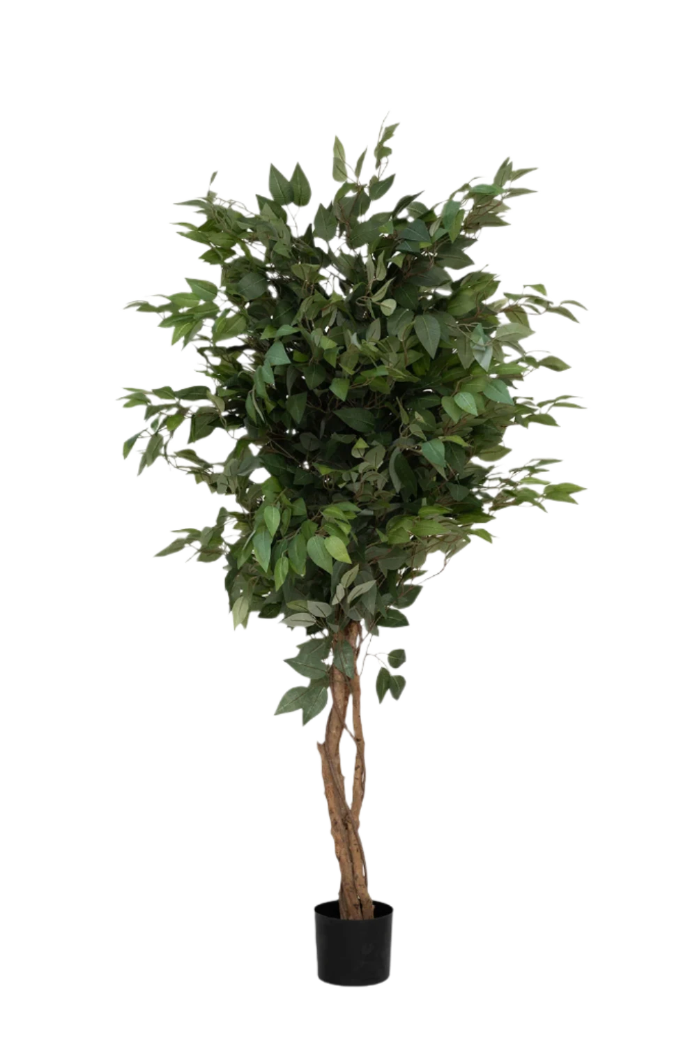 Ficus Baum Künstlich H: 150cm 3 Ficus Baum Künstlich H: 150cm