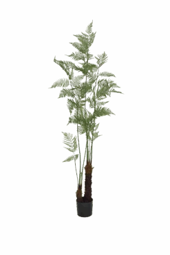 Farne Künstlich H: 200cm