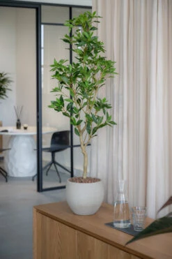 Pflanzen Blumentopf Geschäft 11 Pieris Künstlich H: 95cm