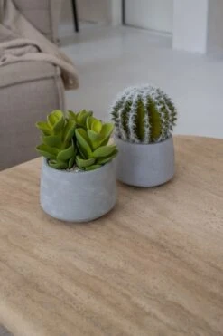 Pflanzen Blumentopf Geschäft 8 Sukkulente Künstlich Im Zementtopf (Pflanze Inkl. Topf)