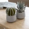 Cactus Künstlich Im Zementtopf (Pflanze Inkl. Topf) 2 Cactus Künstlich Im Zementtopf (Pflanze Inkl. Topf) -Pflanzen Blumentopf Geschäft F2003 S1 91 F2002 S1 91 3
