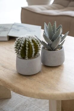 Cactus Künstlich Im Zementtopf (Pflanze Inkl. Topf)