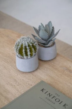 Echeveria Künstlich Im Zementtopf (Pflanze Inkl. Topf) -Pflanzen Blumentopf Geschäft F2003 S1 91 F2002 S1 91 4 145d0b28 7c7a 451e 9310 f27f39e1f656