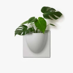 VertiPlants Wandgefäß Aus Pflanzlichen Materialien 13 VertiPlants Wandgefäß Aus Pflanzlichen Materialien -Pflanzen Blumentopf Geschäft GreyVertiPlantswithplant 1
