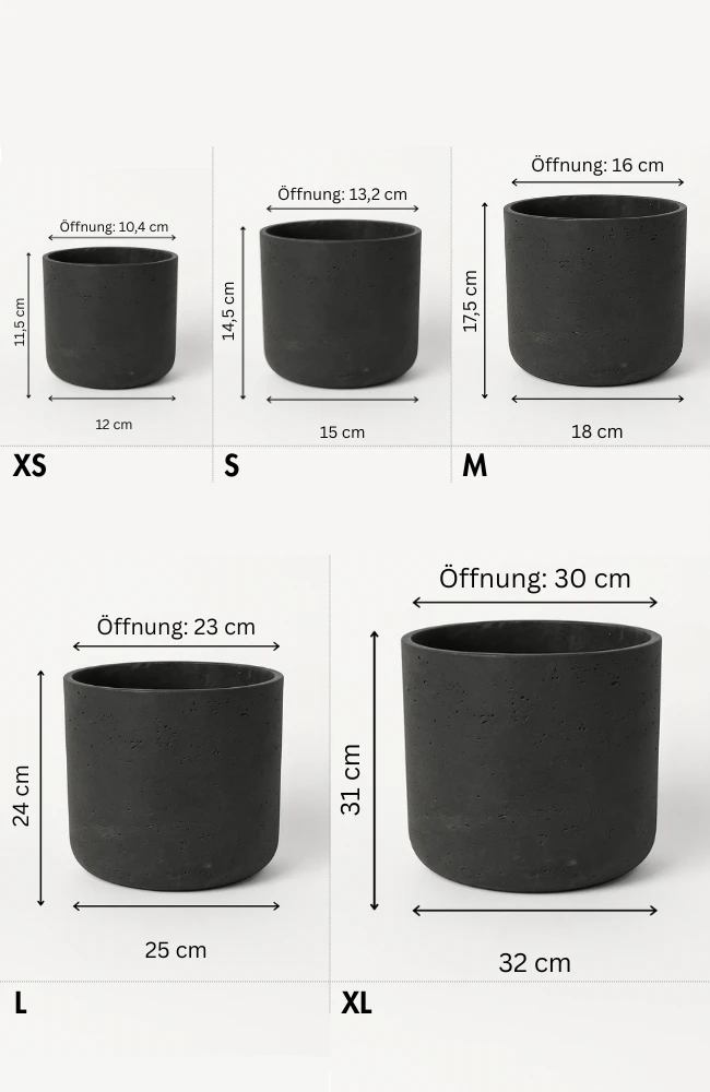 Charlie Black Washed 6 Charlie Black Washed – Bild 4