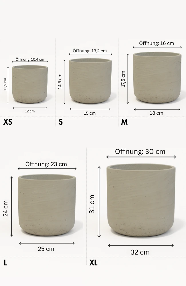 Charlie Grey Washed 6 Charlie Grey Washed – Bild 4