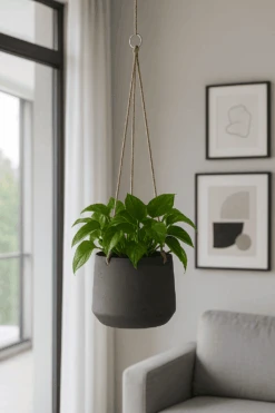 Hanging Patt Schwarz