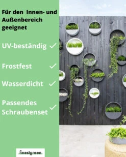 Hanging Wally Handgefertigt Aus Fiberstone 8er Set 10 Hanging Wally Handgefertigt Aus Fiberstone 8er Set -Pflanzen Blumentopf Geschäft HangingWallyAmbienteUSP min d88406f1 8912 4ffa a8e6 dc4a532600b0