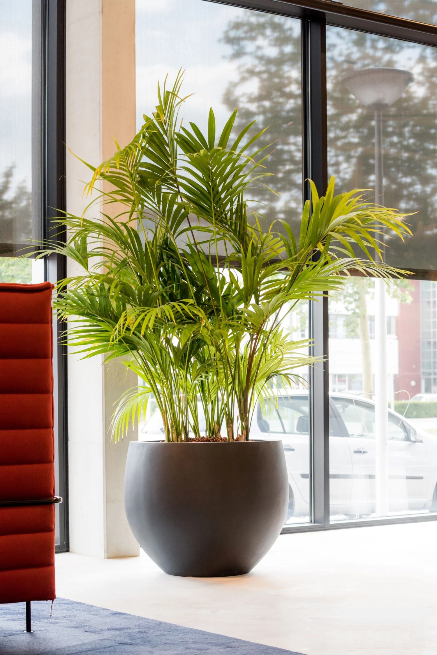 Jumbo Orb Fiberstone Schwarz 3 Jumbo Orb Fiberstone Schwarz