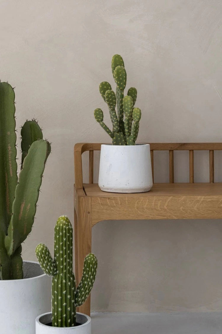 Patt White Washed 4 Patt White Washed – Bild 2