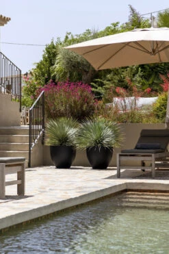 Jesslyn Fiberstone Schwarz