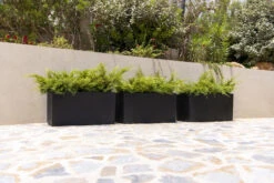 Jort Fiberstone Schwarz 11 Jort Fiberstone Schwarz -Pflanzen Blumentopf Geschäft JortSchwarz