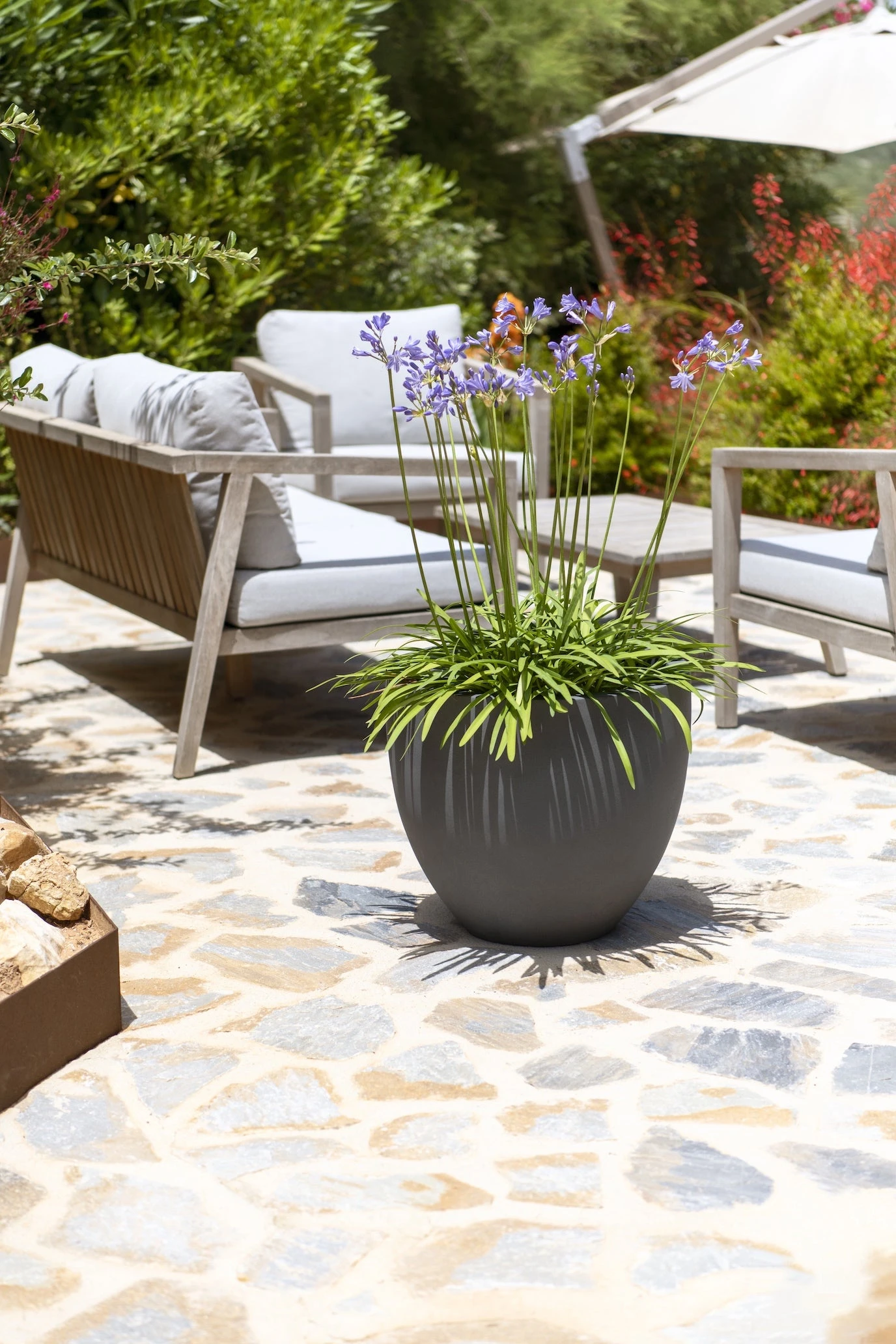 Jesslyn Fiberstone Grau 4 Jesslyn Fiberstone Grau – Bild 2