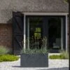 Jort Granite Midnight Black 2 Jort Granite Midnight Black -Pflanzen Blumentopf Geschäft L1066 S1 10 2