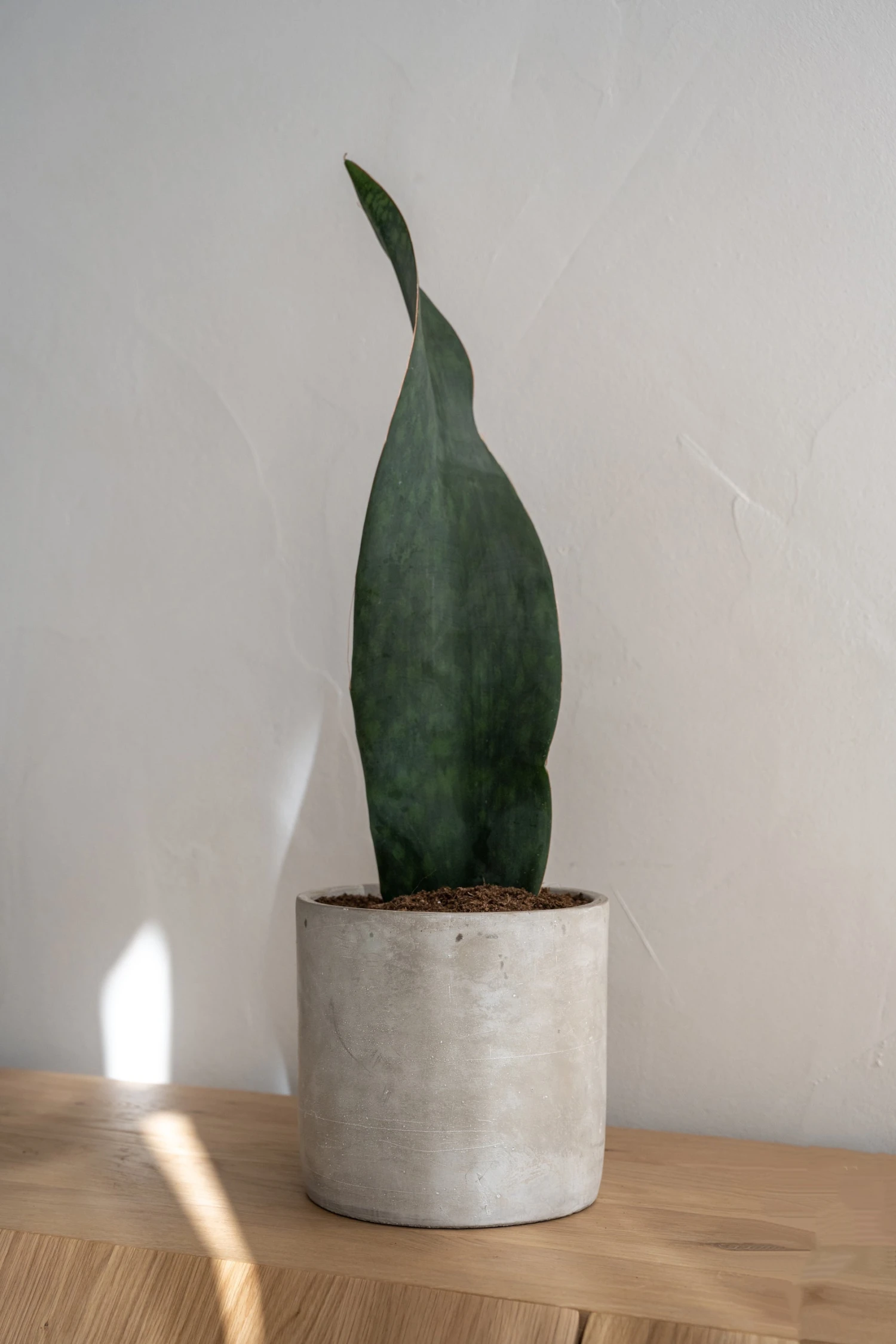 Lukas - Concrete 3 Lukas - Concrete