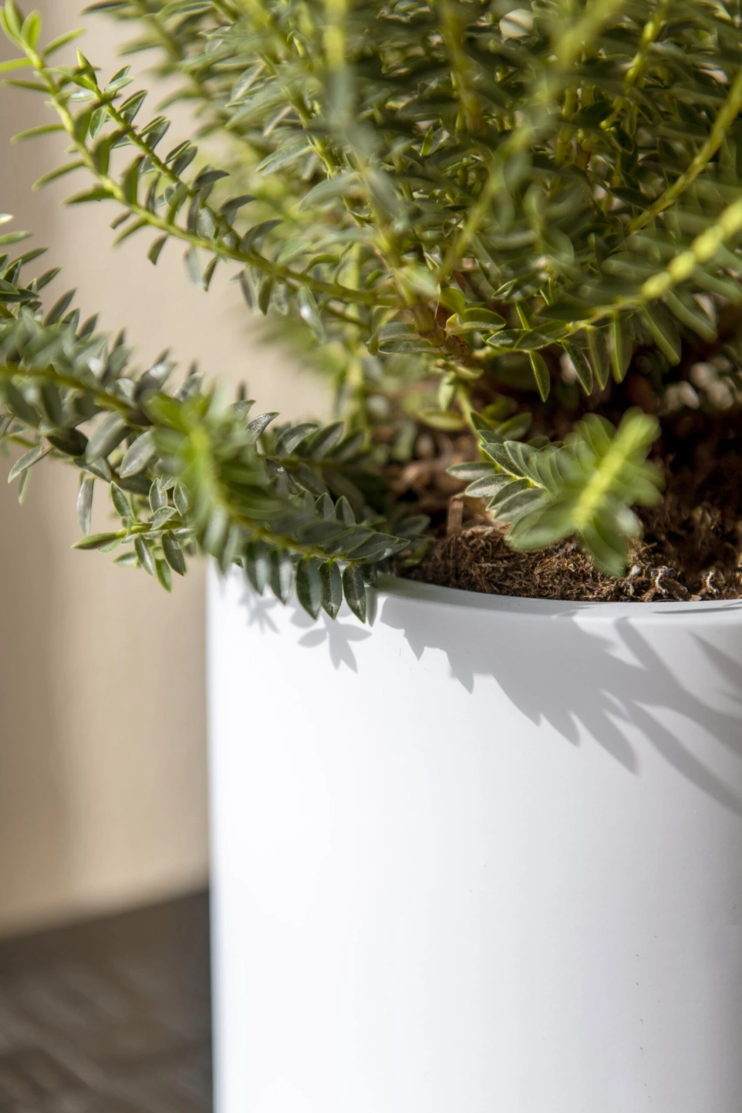 Mini Max Matt Weiß 4 Mini Max Matt Weiß – Bild 2