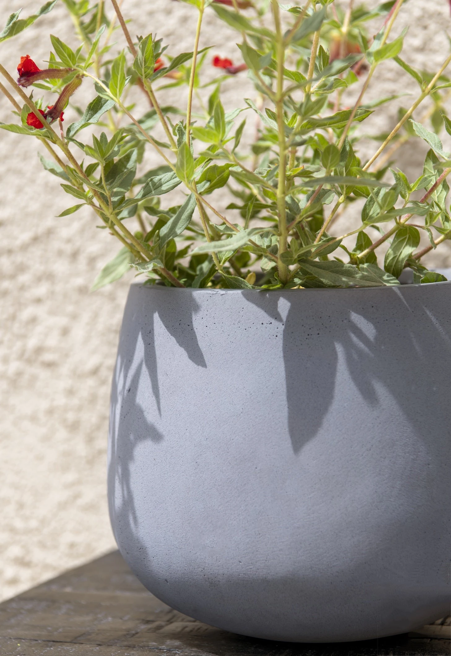 Mini Pax Fiberstone Grau 4 Mini Pax Fiberstone Grau – Bild 2