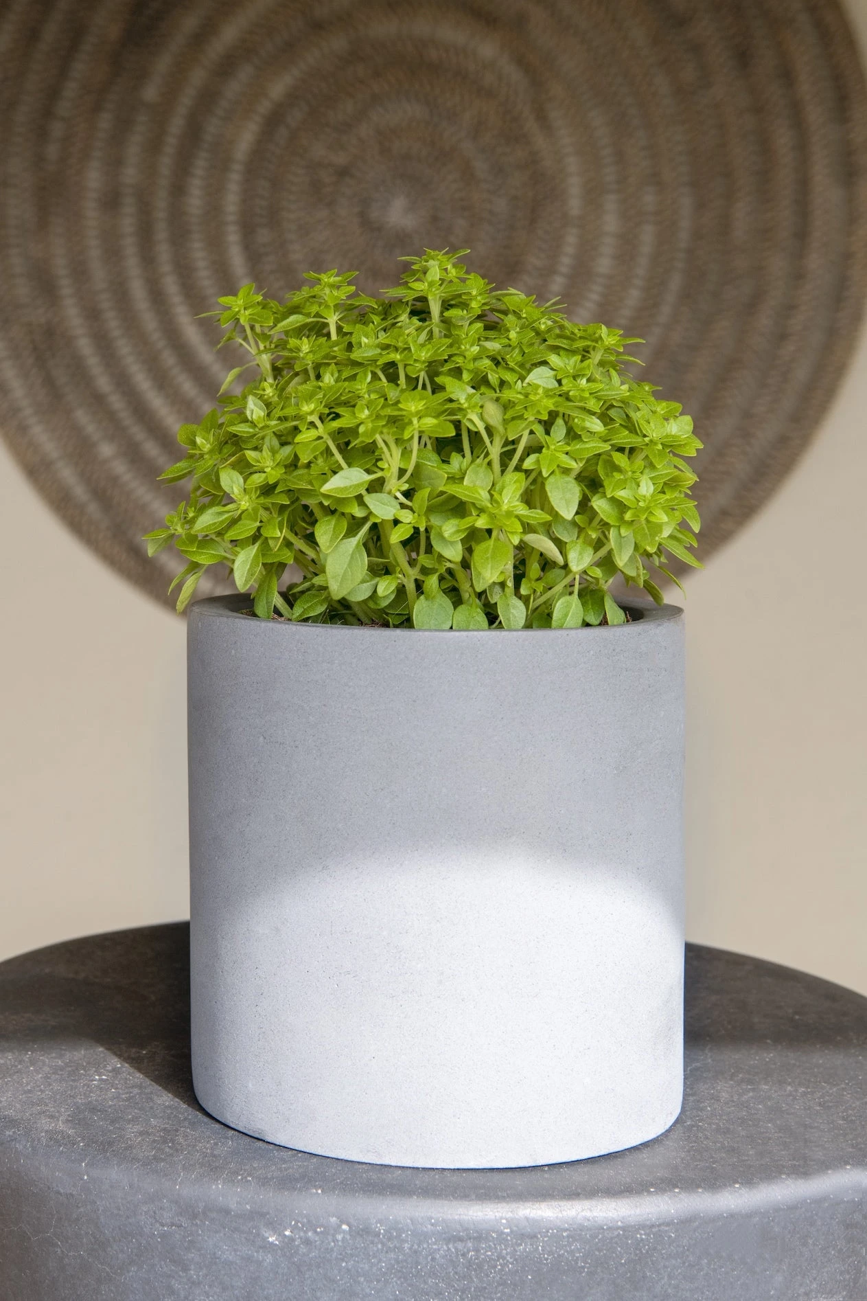 Mini Max Fiberstone Grau 4 Mini Max Fiberstone Grau – Bild 2