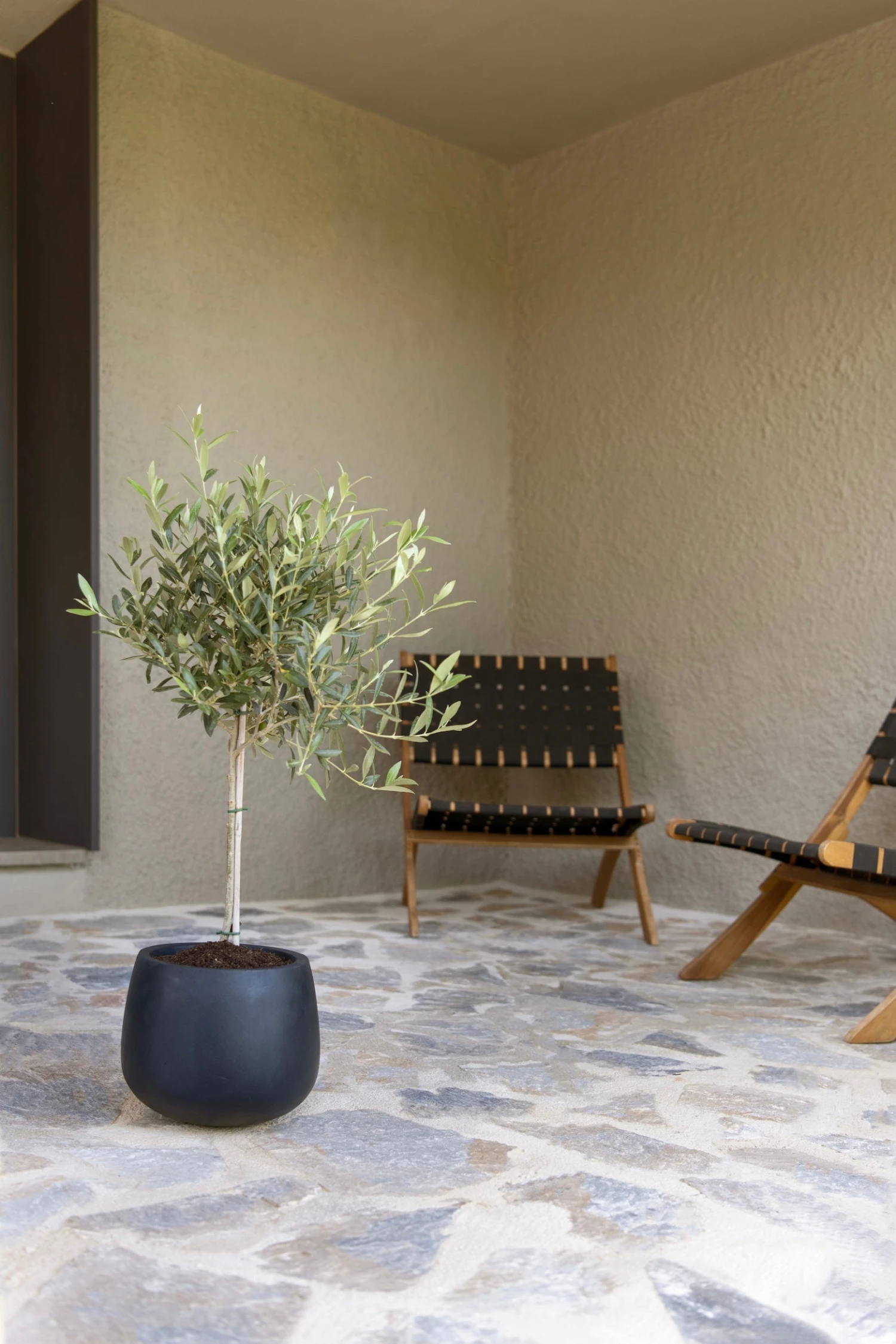 Mini Pax Fiberstone Schwarz 3 Mini Pax Fiberstone Schwarz