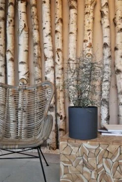 Mini Max Volcano Anthrazit