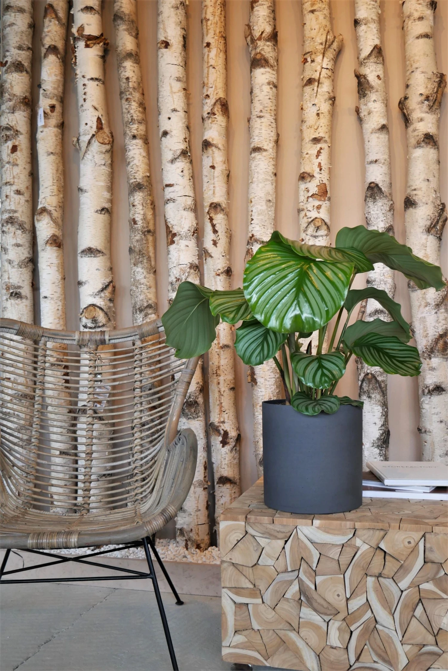 Mini Max Volcano Anthrazit 4 Mini Max Volcano Anthrazit – Bild 2