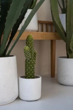 Kaktus Saguaro Künstlich H: 41 Cm