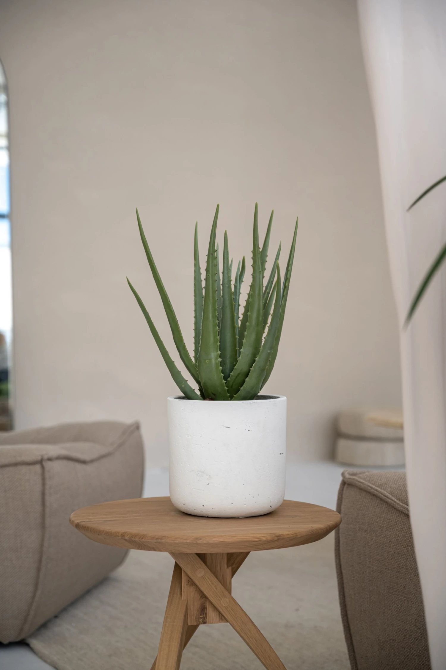 Charlie White Washed 3 Charlie White Washed