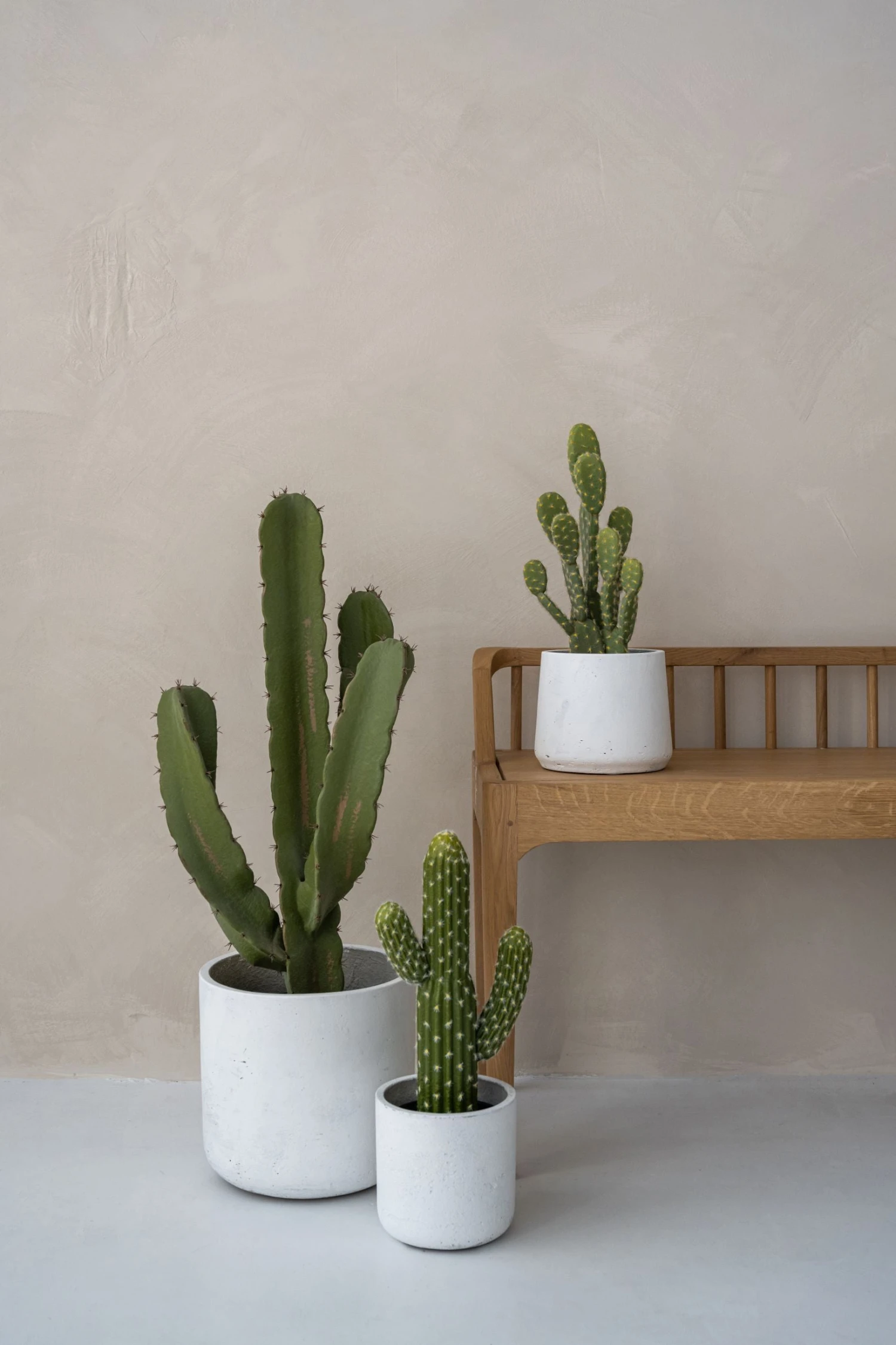 Kaktus Cereus Künstlich H: 55cm 5 Kaktus Cereus Künstlich H: 55cm – Bild 3