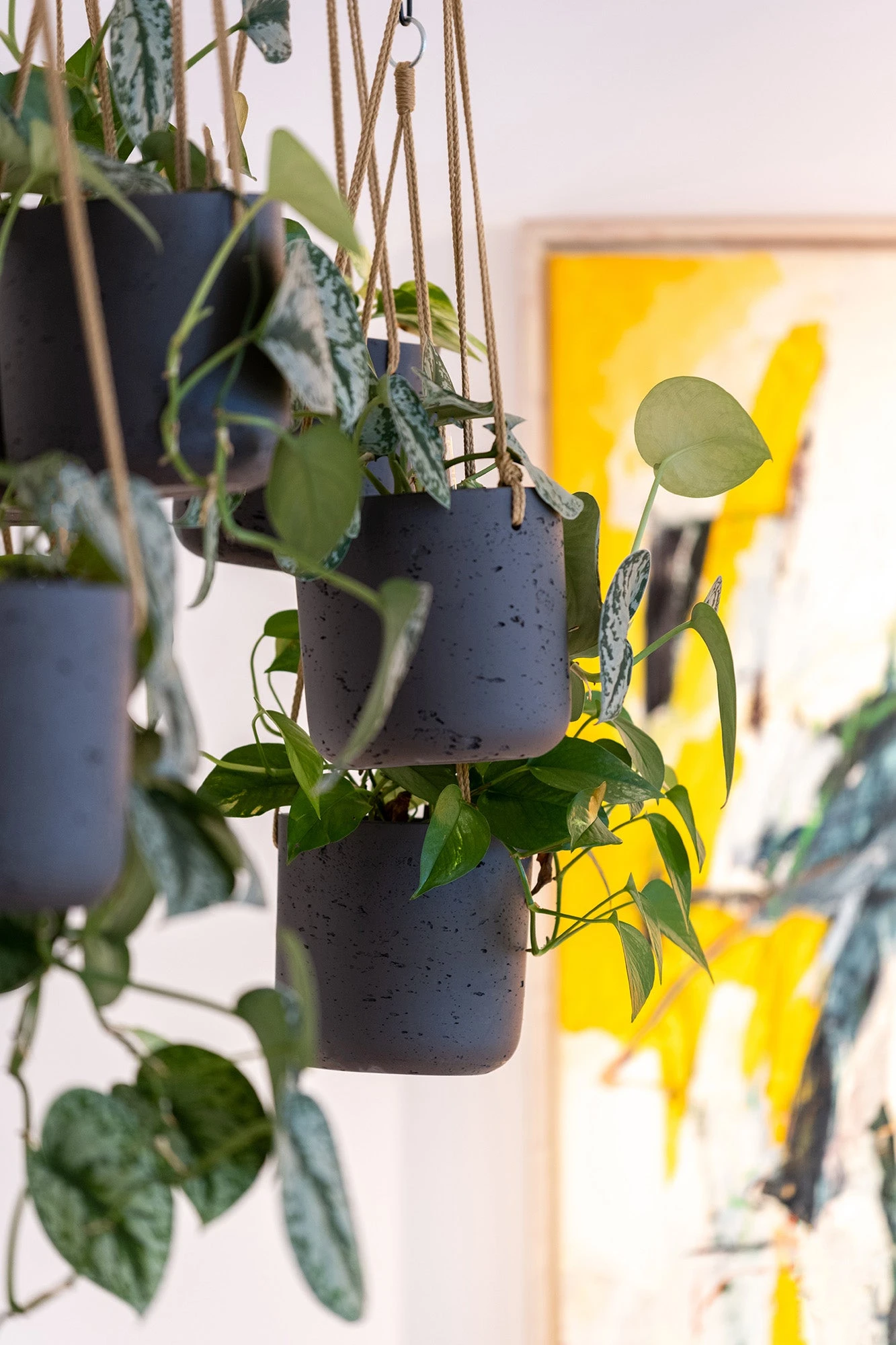 Hanging Charlie Schwarz 4 Hanging Charlie Schwarz – Bild 2