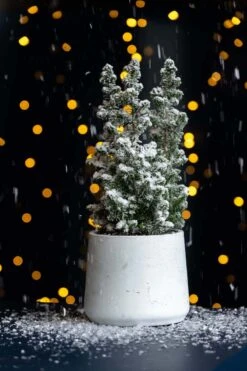 Patt White Washed 9 Patt White Washed -Pflanzen Blumentopf Geschäft P3026 11 42 20