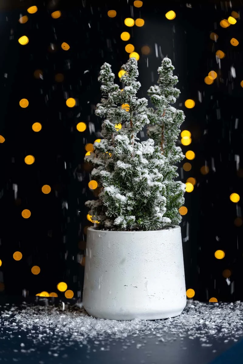 Patt White Washed 6 Patt White Washed – Bild 4