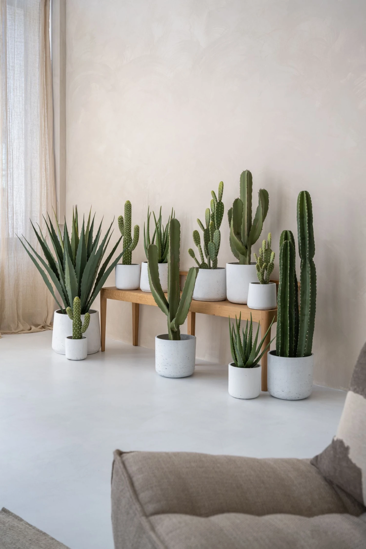 Kaktus Cereus Künstlich H: 55cm 7 Kaktus Cereus Künstlich H: 55cm – Bild 5